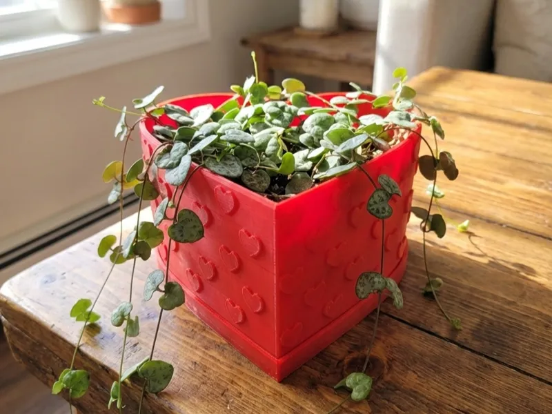 Valentine's Heart Planter