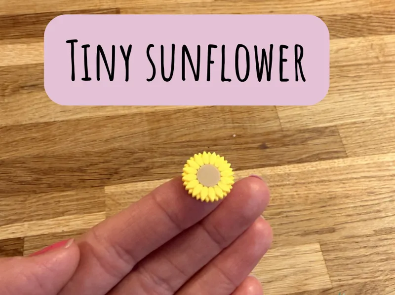 Small sunflower 