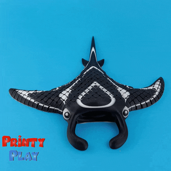 Flexi and playful manta ray.