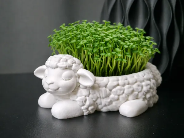 https://makerworld.bblmw.com/makerworld/model/USc3350adfd35f75/design/cad155eb45ec1155.png