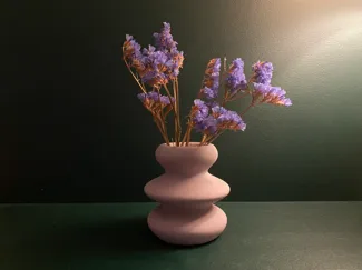 The Wavy Minimalist Vase