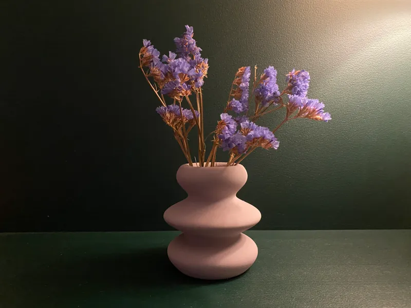 The Wavy Minimalist Vase