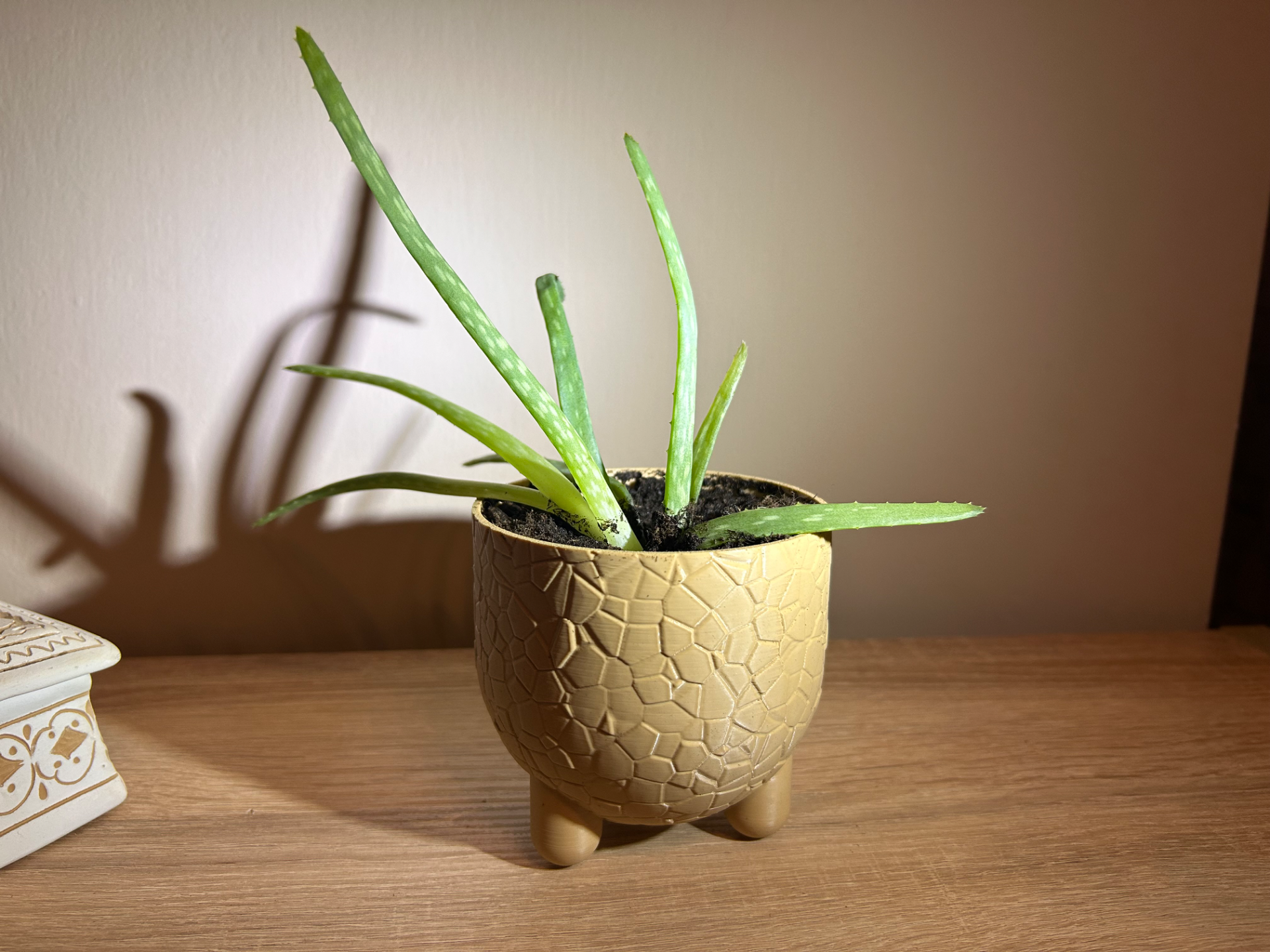 Voronoi Planter with Legs