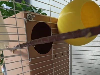 Parrot Breeding Box, Double-Layer Villa