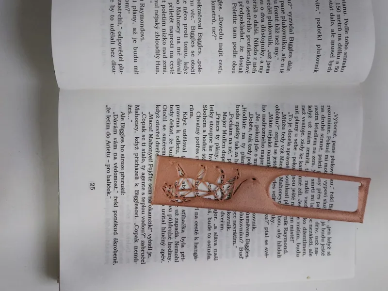 lion bookmarker