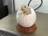 Higher Quality, Slower Print 0.08mm layer