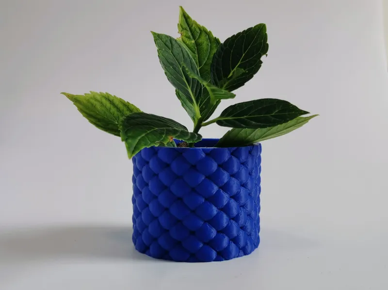 Inflated Pilllow Plant Pot