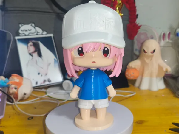 https://makerworld.bblmw.com/makerworld/model/USc34567932c7f5d/design/2025-10-15_e9525075cb515.jpg