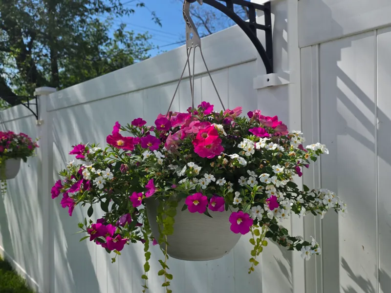 Hanging flower basket hook
