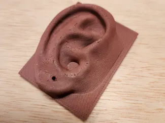 Ear for earring