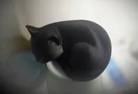 Chat endormi — photo 3