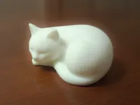 Chat endormi — photo 1