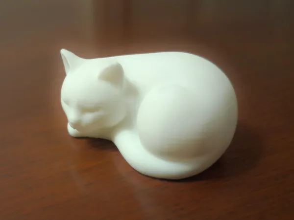 Chat endormi
