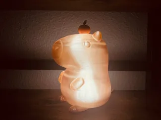 Cute Capybara Light with Orange