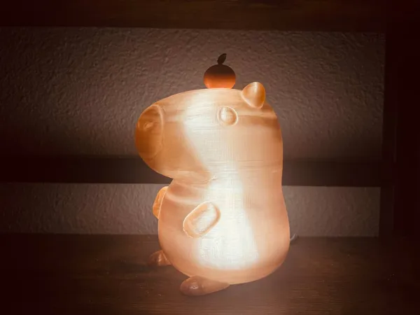 https://makerworld.bblmw.com/makerworld/model/USc355370c84fd35/design/2025-02-11_4f0faeba391d8.jpg