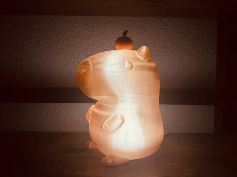 Cute Capybara Light with Orange