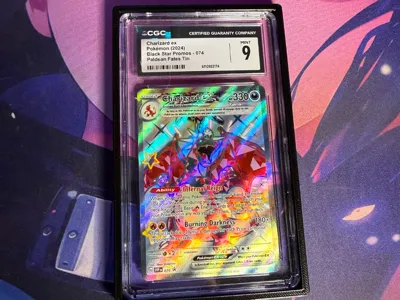 CGC Slab Guard and Bumper
