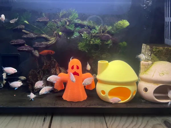 https://makerworld.bblmw.com/makerworld/model/USc35685d69c7337/design/2025-05-12_e34118d1b58c3.jpg
