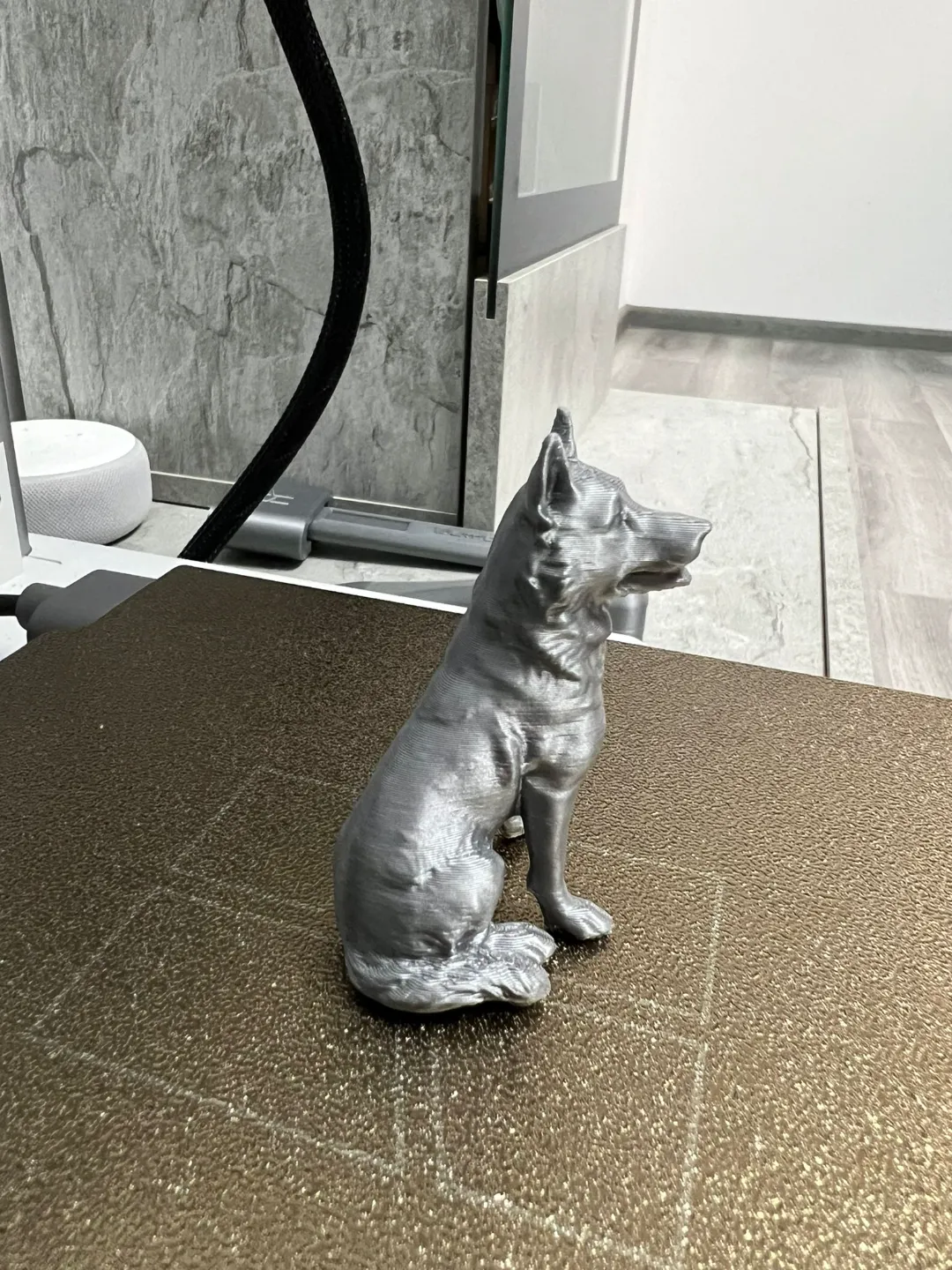 German Shepherd Dog view 3