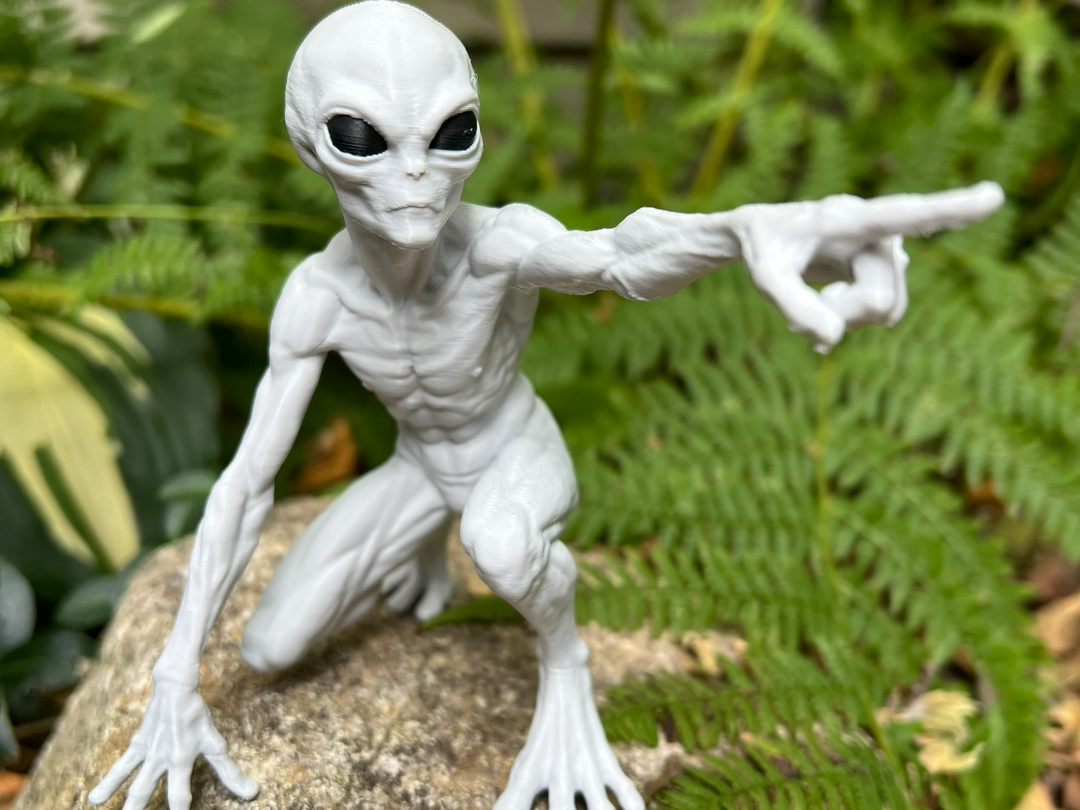 Scout - Alien Scout Team - 1