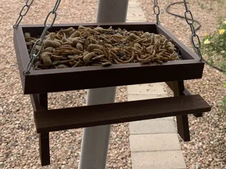 Picnic Table style bird feeder