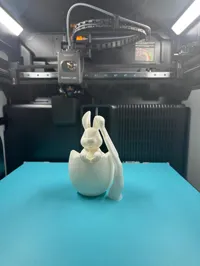 Veilleuse LED lapin dans un œuf — photo 8
