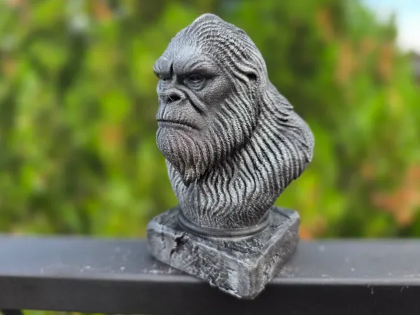 https://makerworld.bblmw.com/makerworld/model/USc35a3362cb5dfd/design/2025-08-18_3469d438813c8.jpg
