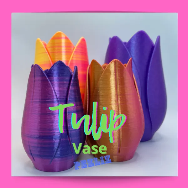 https://makerworld.bblmw.com/makerworld/model/USc35c2e6ffd321a/design/2023-09-25_e83c9fbe46a5a8.png