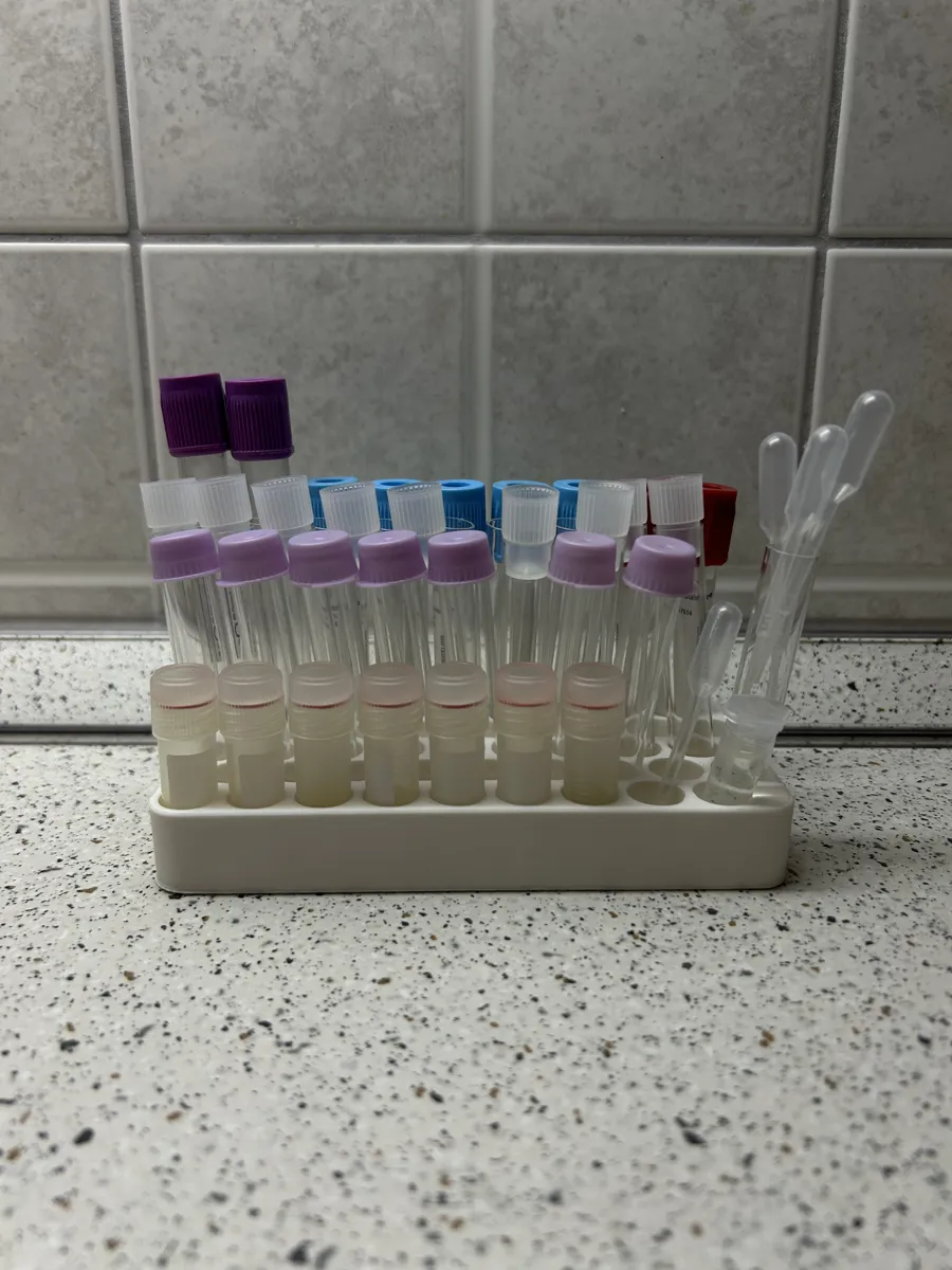 Portoir pour tubes à essai