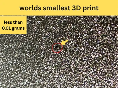 worlds smallest 3d print
