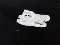 0.2mm 层高, 2 层墙, 10% 填充