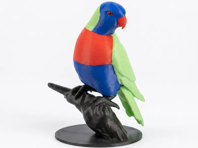 Rainbow Lorikeet