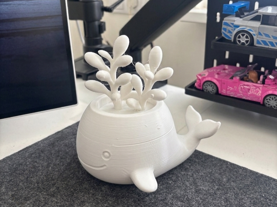 Whale Planter Pot | Cute Desk Decor 