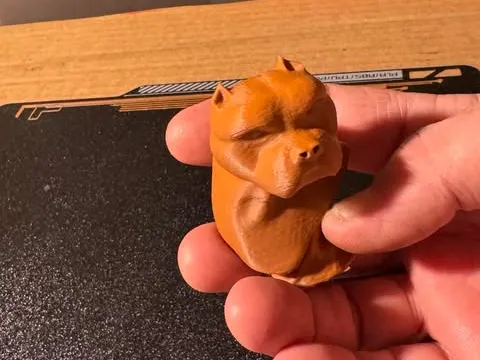 american Bully bust