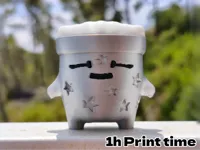 A series - 0.2mm layer, 2 walls, 15% infill