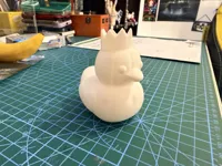 Canard — photo 2