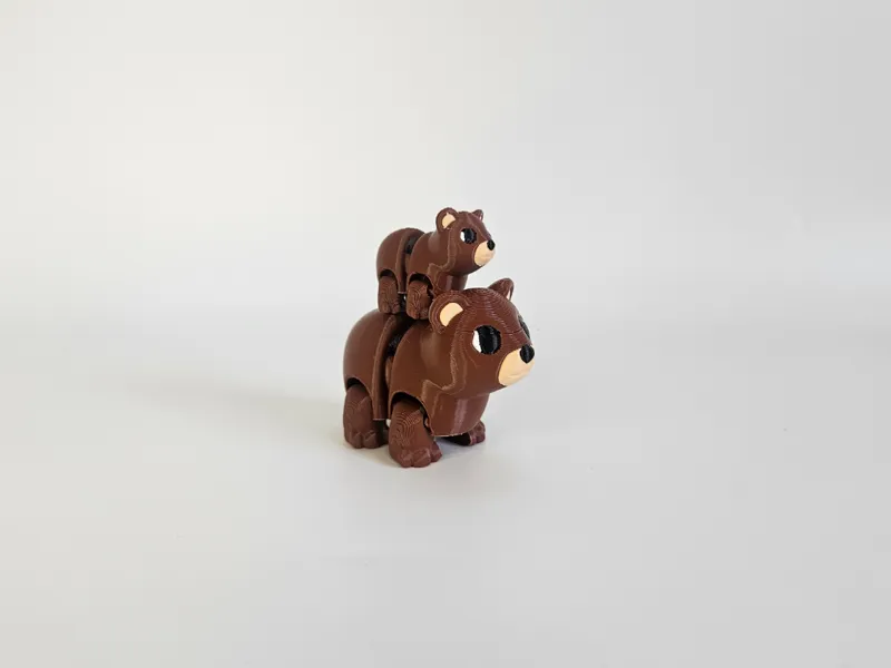 Grizzly Bear