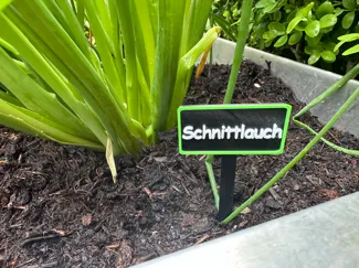 Plant sign / label - Pflanzschilder