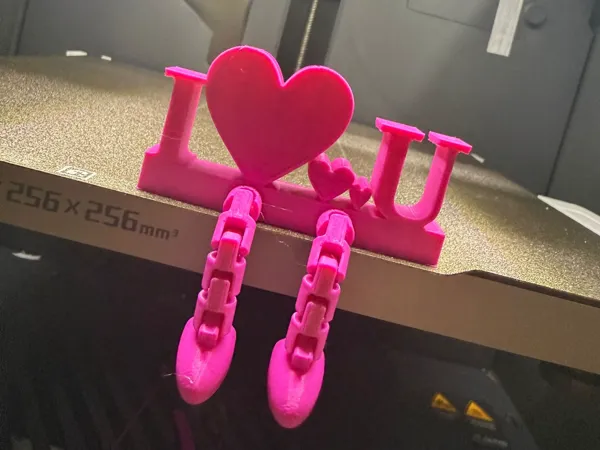 https://makerworld.bblmw.com/makerworld/model/USc37608239227d9/design/2025-01-03_95a81c2d6ff7e.jpg