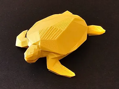 Cute Low Poly Turtle
