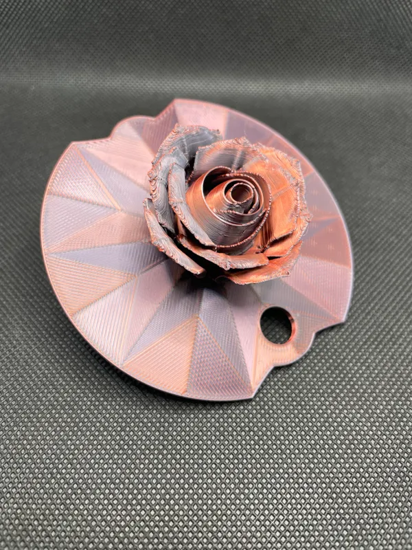 https://makerworld.bblmw.com/makerworld/model/USc37952cdb69917/design/2024-02-09_2b8cd86af0c54.jpg