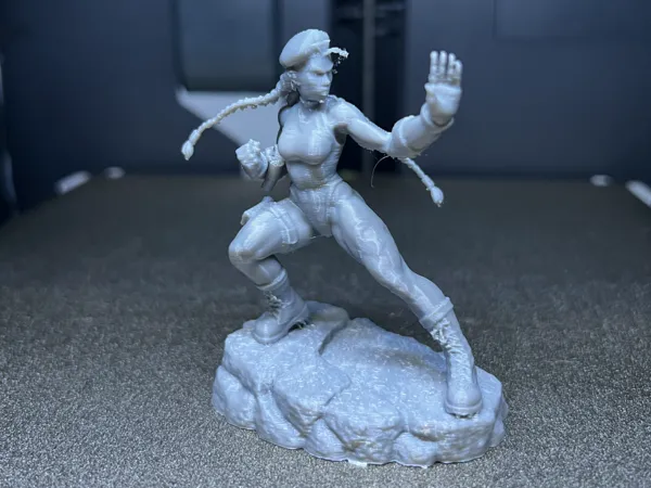 https://makerworld.bblmw.com/makerworld/model/USc37f3faa198c13/design/695805ea86f09703.jpg