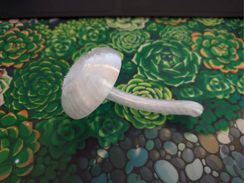 Mushroom with gills