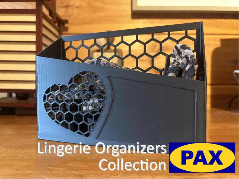 Matching Bra & Panty Organizers for IKEA PAX