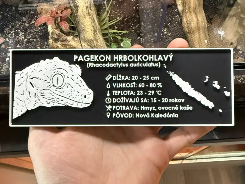 Terrarium label - Gargoyle Gecko (English)