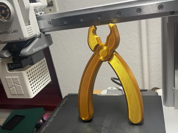 https://makerworld.bblmw.com/makerworld/model/USc3910dcaa2f079/design/2024-08-22_f988814b88a8c.jpeg