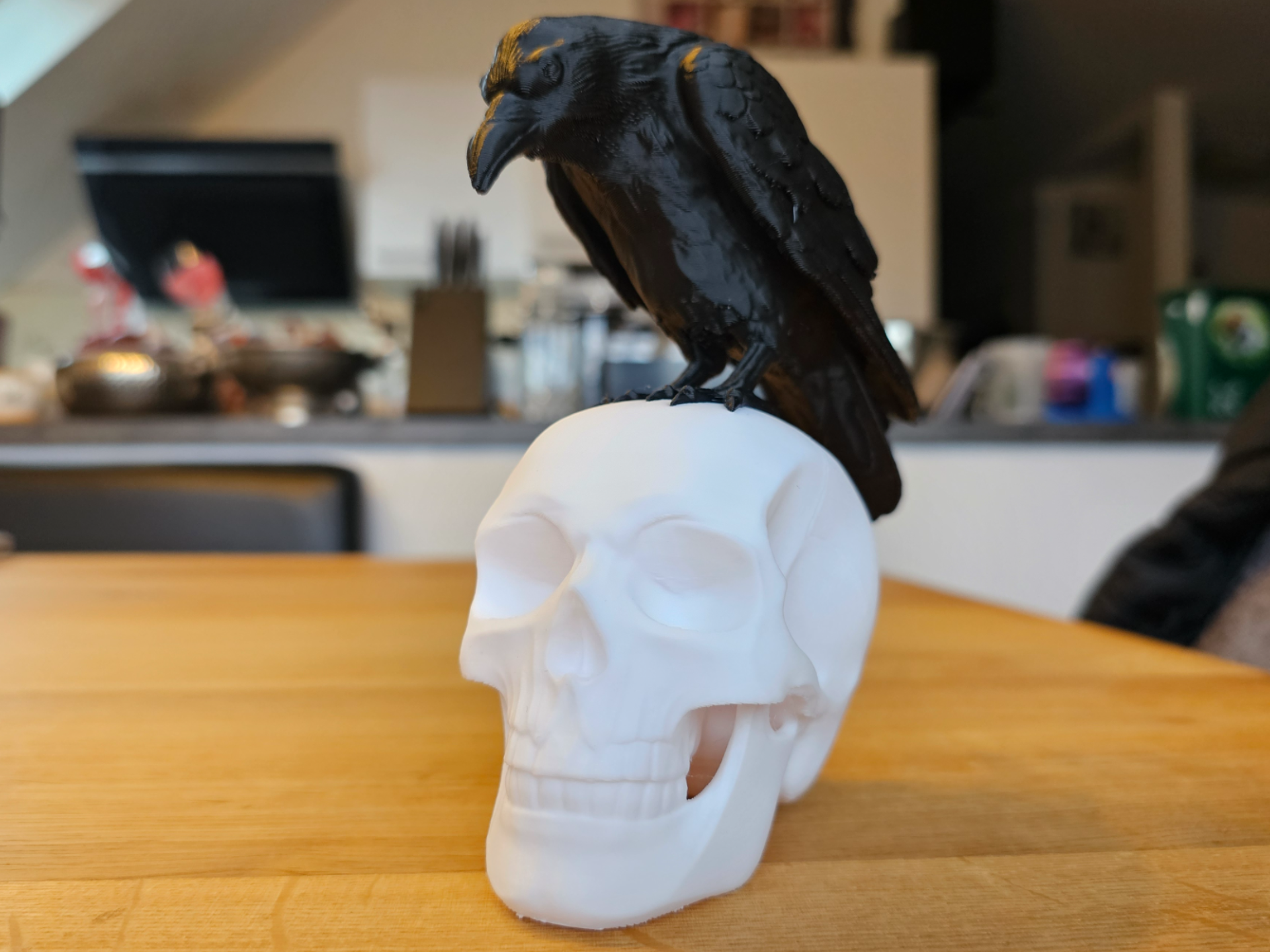 The Watcher: Raven on Skull