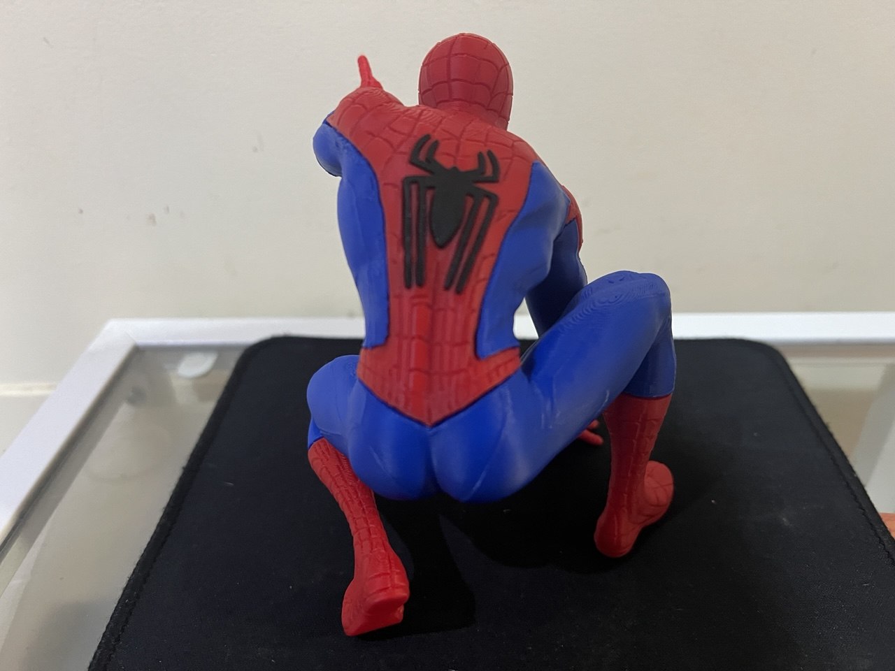 Foto 12