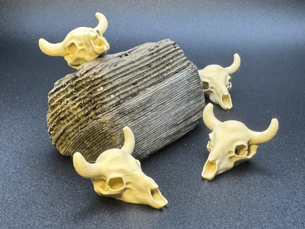 https://makerworld.bblmw.com/makerworld/model/USc393f5ab160647/design/08d9cb369fe67db8.jpg