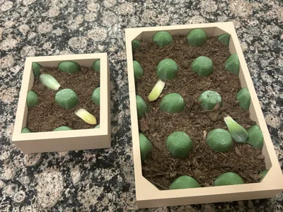 Large and Small Succulent Propagation Tray   